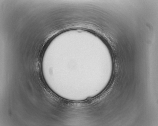 X0000115711497200912101225