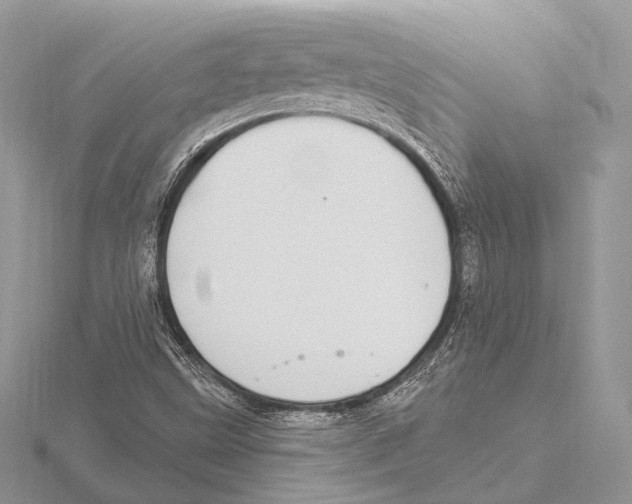 X0000115711499200912101225