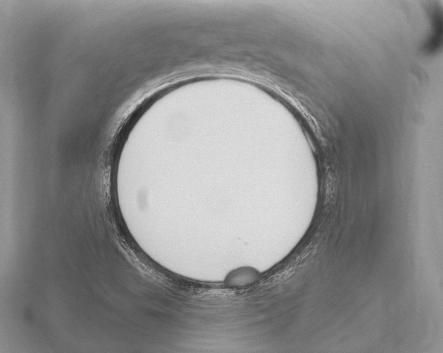 X0000115711503200912101225