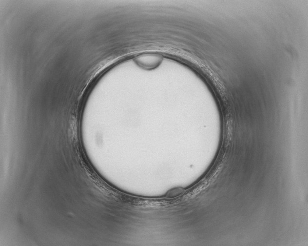 X0000115711505200912101226