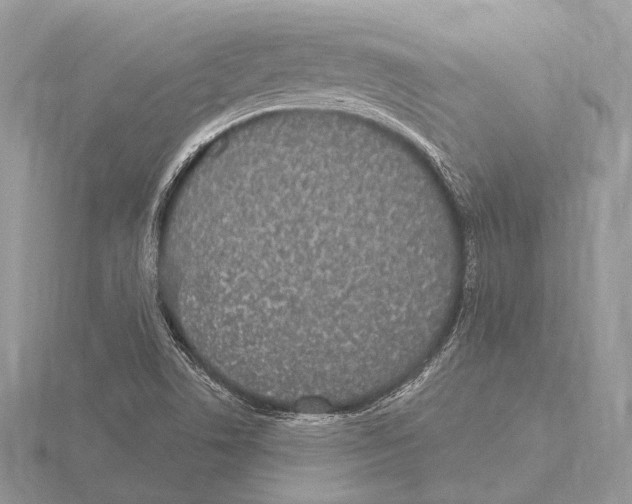 X0000115711506200912101226