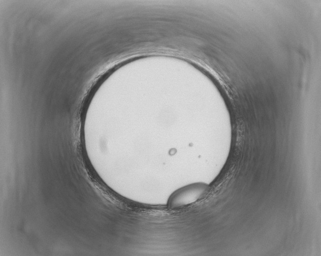 X0000115711507200912101226