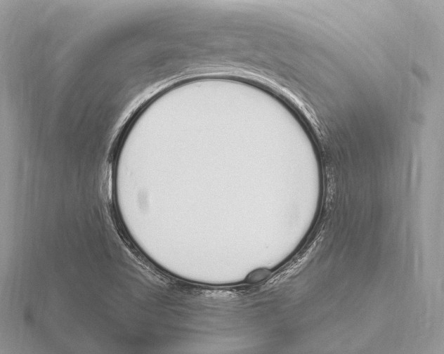 X0000115711509200912101226