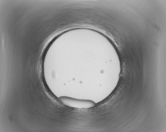 X0000115711511200912101226