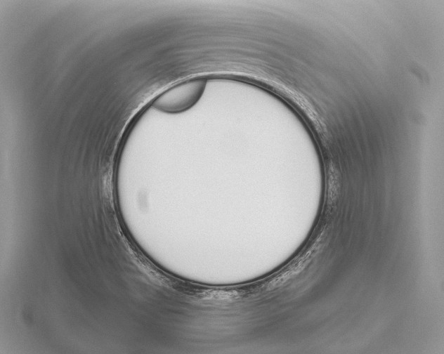 X0000115711513200912101226