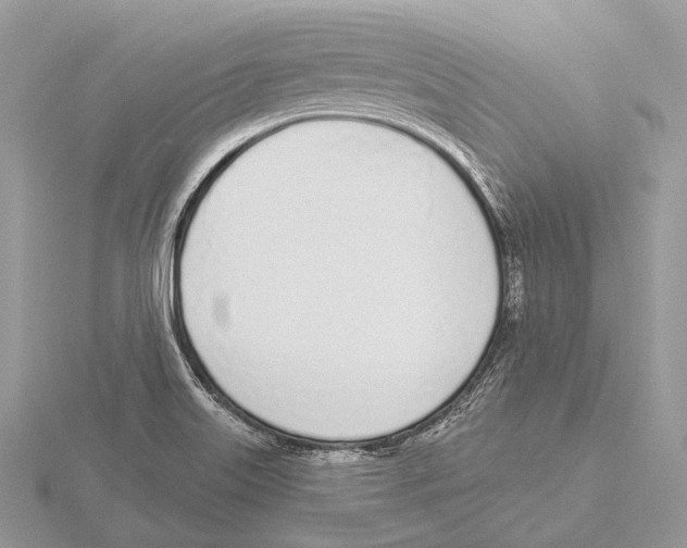 X0000115711515200912101226