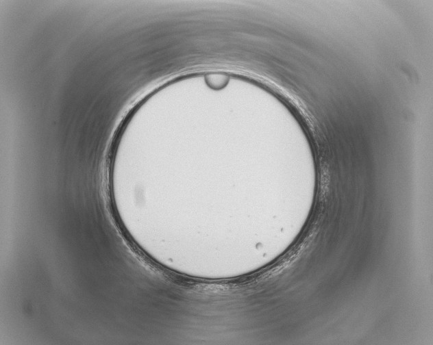 X0000115711517200912101226