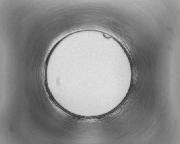 X0000115711519200912101226