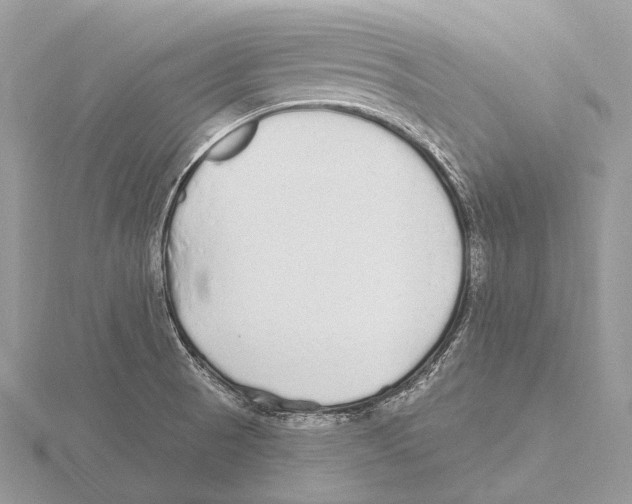 X0000115711521200912101226