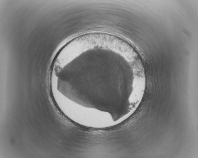 X0000115711522200912101226