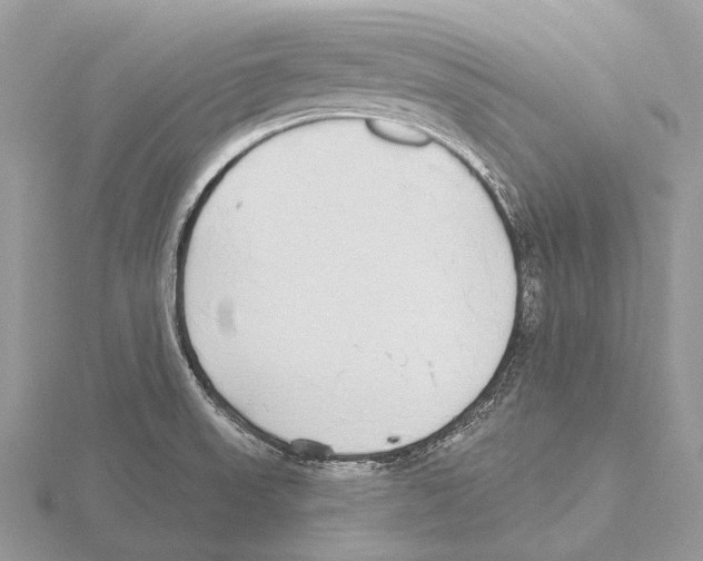 X0000115711523200912101226