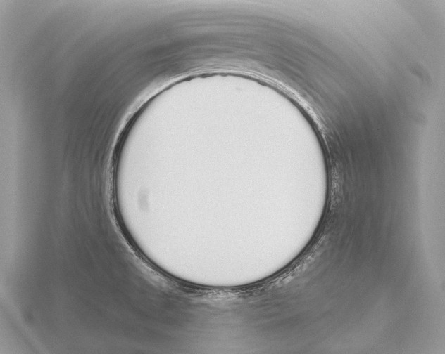 X0000115711525200912101226