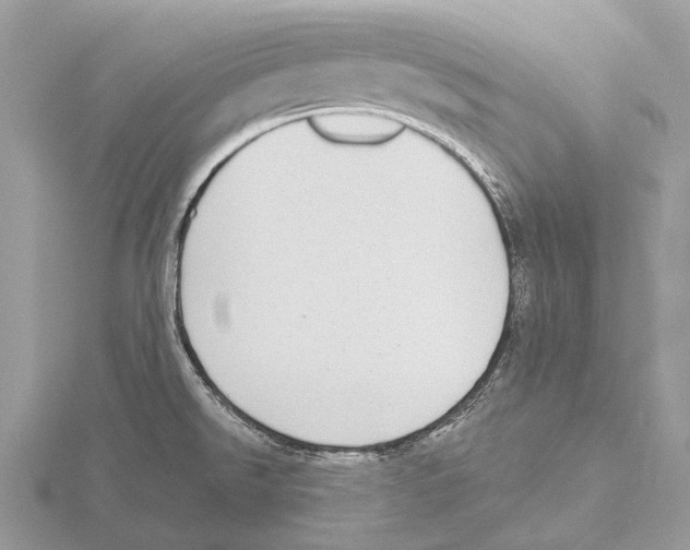 X0000115711526200912101226