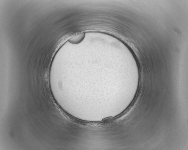 X0000115711529200912101226