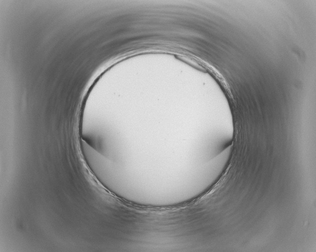 X0000115711530200912101226