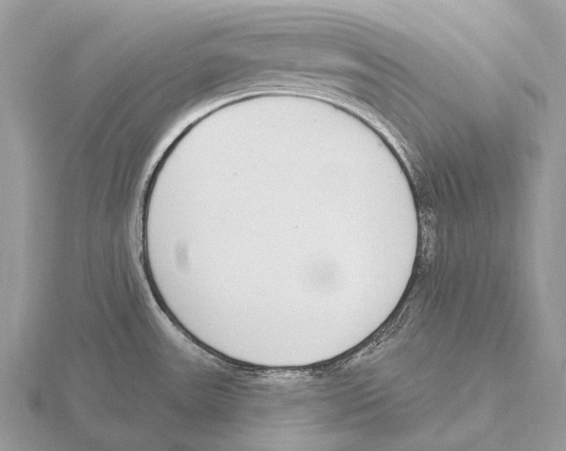 X0000115711531200912101226