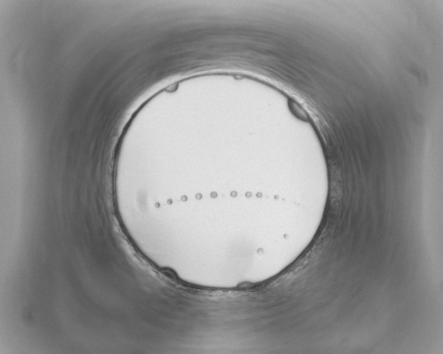 X0000115711534200912101226