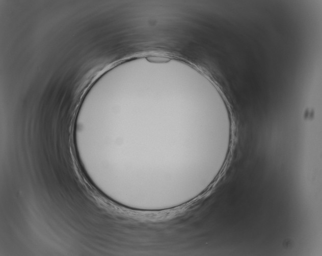 X0000115710001200912241554