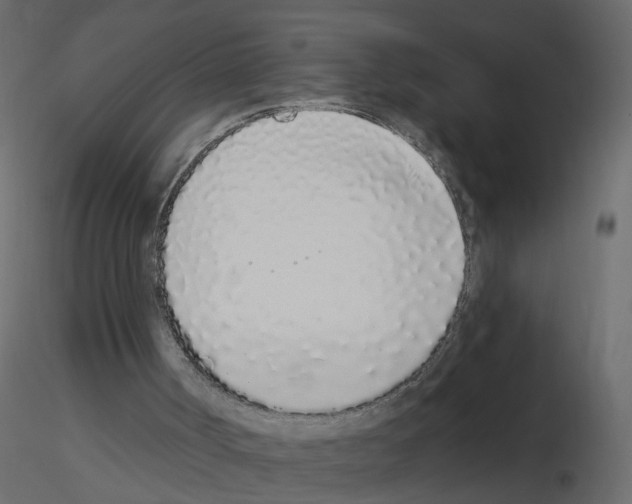 X0000115710002200912241553