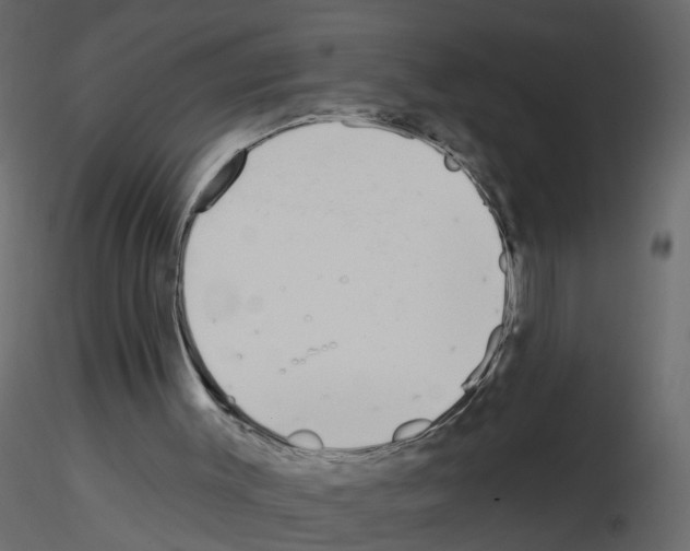 X0000115710003200912241553