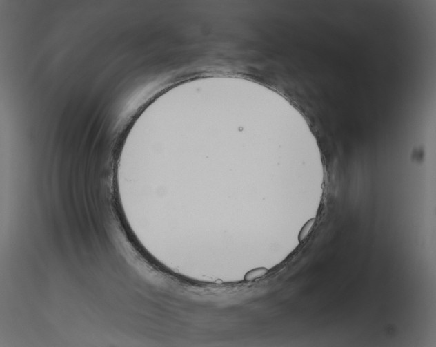 X0000115710005200912241553