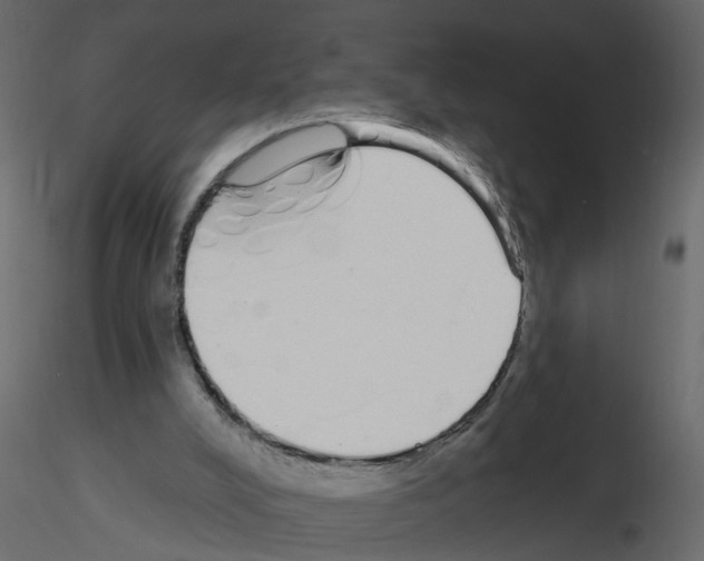 X0000115710008200912241553