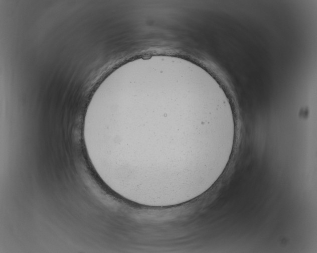 X0000115710009200912241553