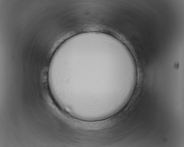 X0000115710010200912241553