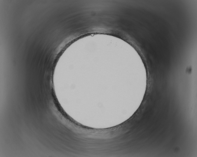 X0000115710011200912241553