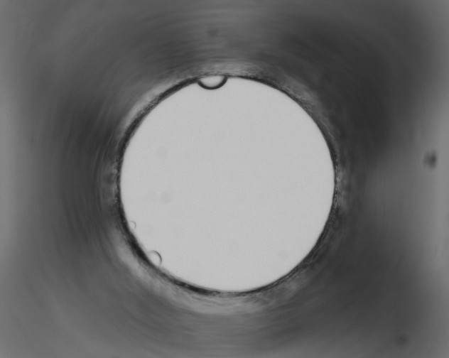 X0000115710012200912241553