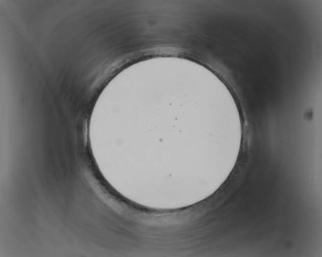 X0000115710013200912241553