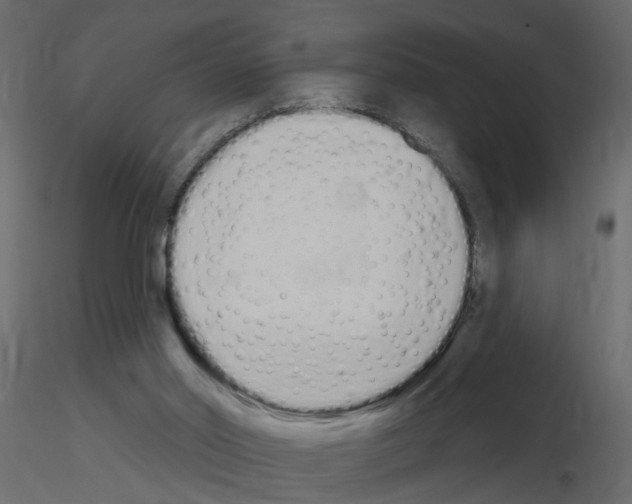 X0000115710014200912241553