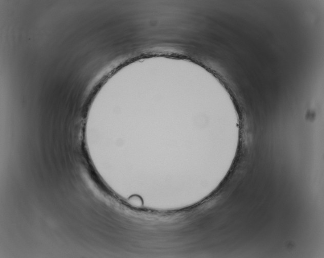 X0000115710016200912241553