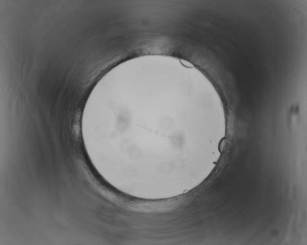 X0000115710017200912241553