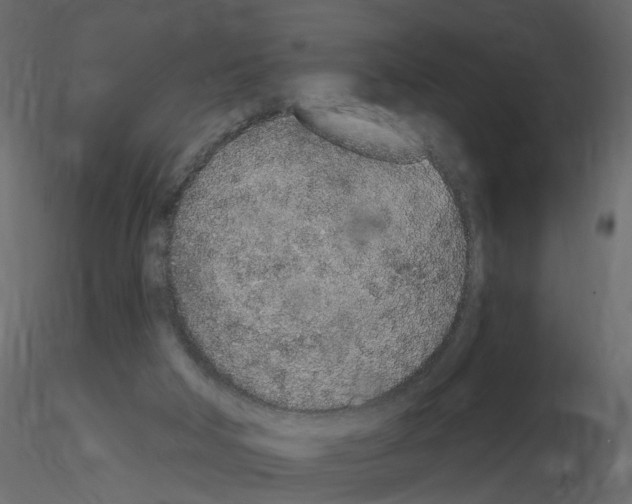 X0000115710018200912241553