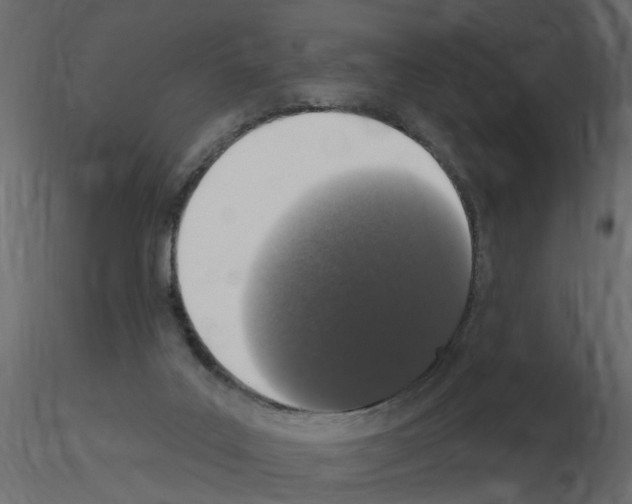 X0000115710019200912241553