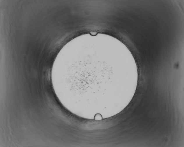 X0000115710021200912241553