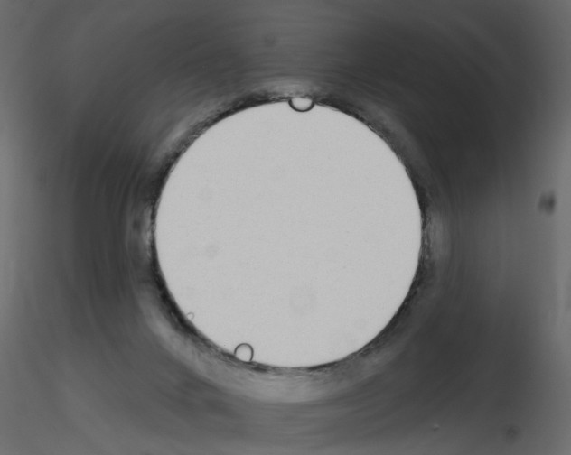 X0000115710024200912241553