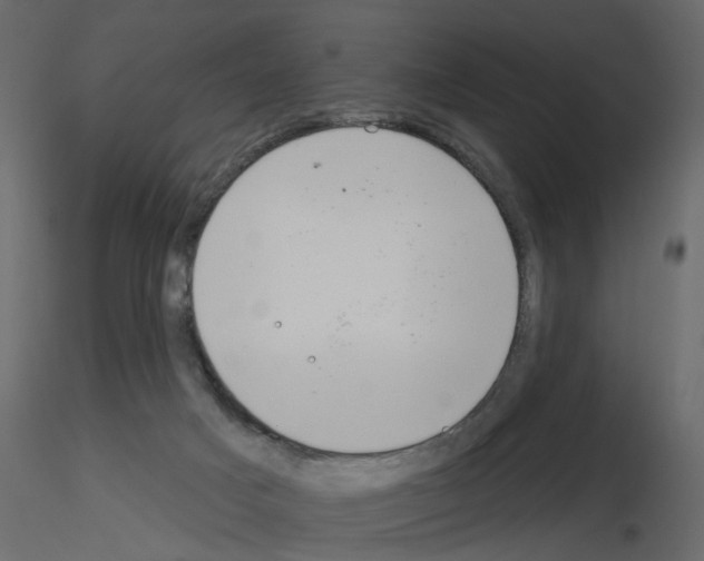 X0000115710025200912241553