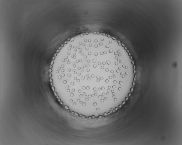 X0000115710026200912241553