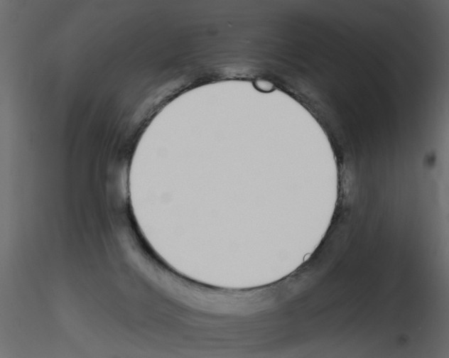 X0000115710028200912241553