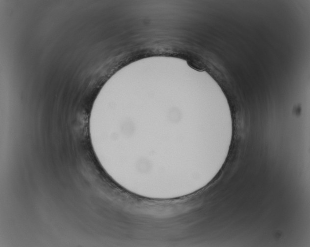 X0000115710029200912241553