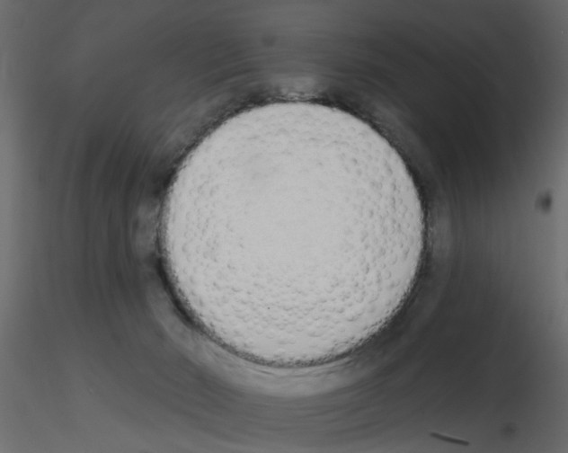 X0000115710030200912241553