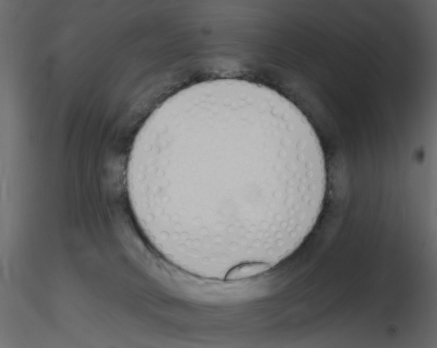 X0000115710034200912241553