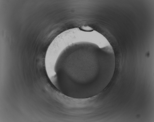 X0000115710035200912241553