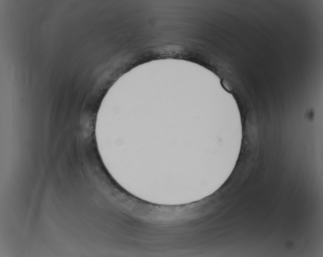 X0000115710037200912241553