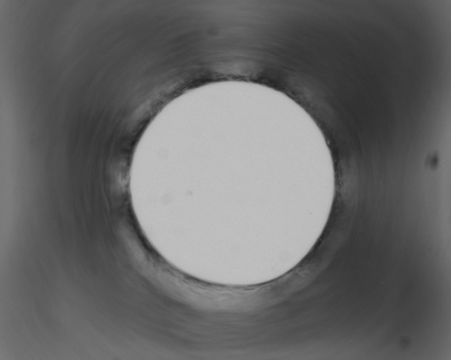 X0000115710040200912241553