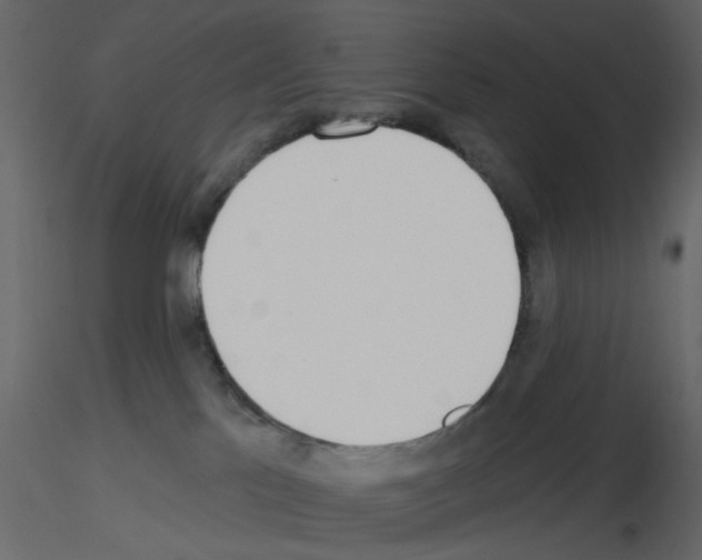 X0000115710041200912241553