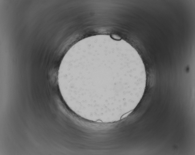 X0000115710044200912241553