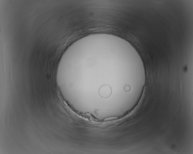 X0000115710045200912241553